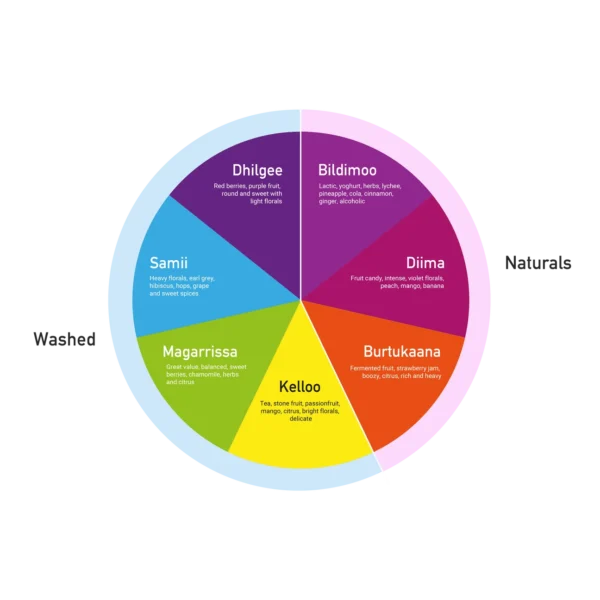 new colour wheel 2020