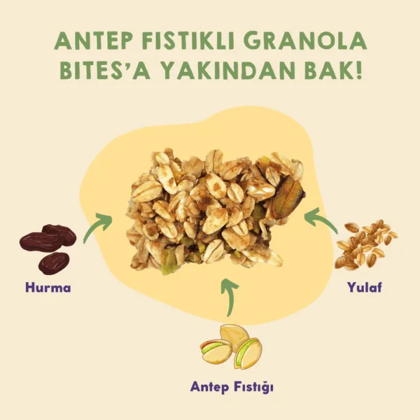 100gr 12'li Antep Fıstıklı Granola Bites